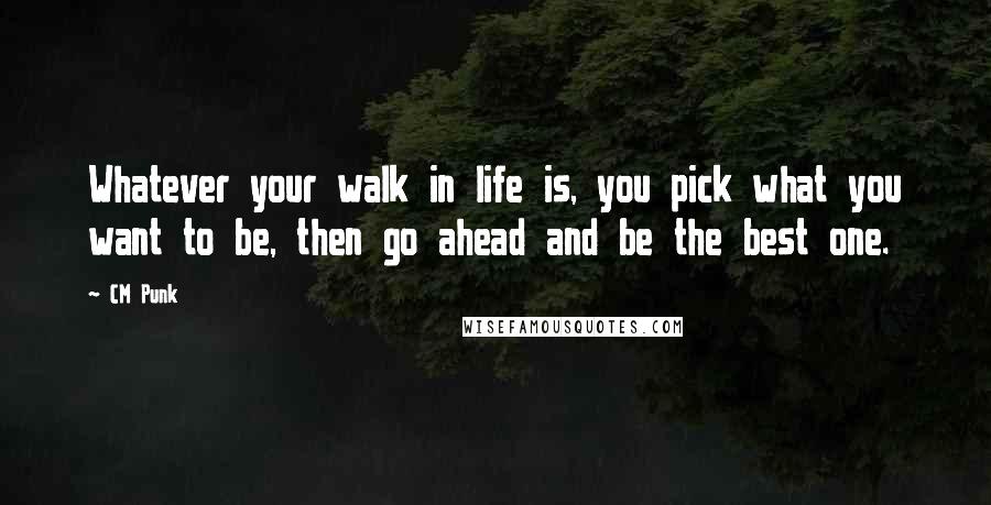 CM Punk Quotes: Whatever your walk in life is, you pick what you want to be, then go ahead and be the best one.