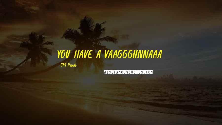 CM Punk Quotes: YOU HAVE A VAAGGGIINNAAA!