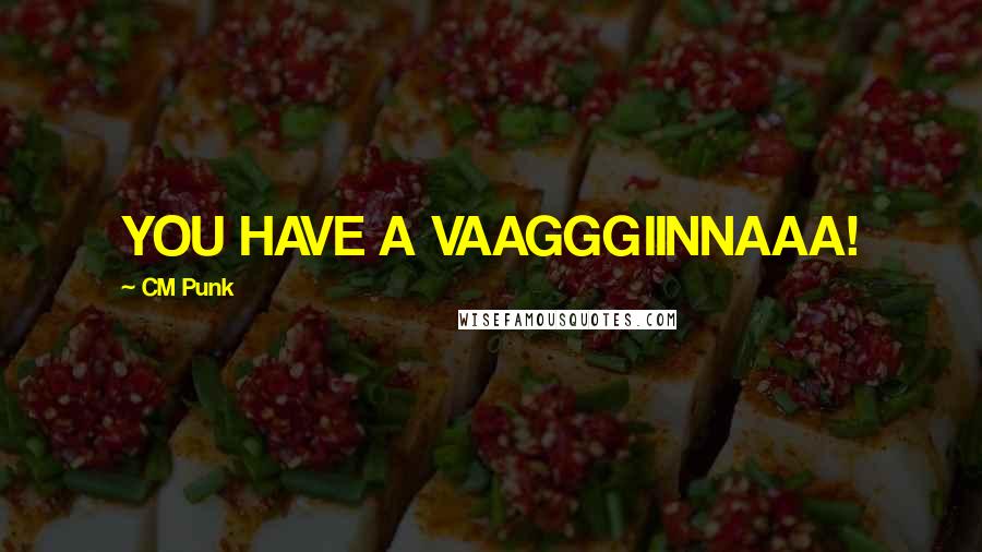 CM Punk Quotes: YOU HAVE A VAAGGGIINNAAA!