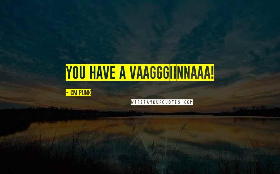 CM Punk Quotes: YOU HAVE A VAAGGGIINNAAA!