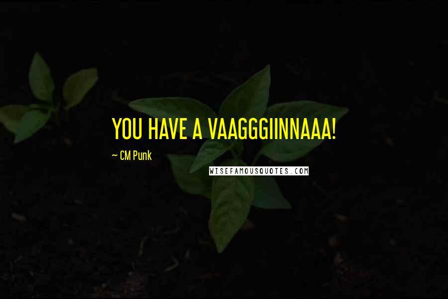 CM Punk Quotes: YOU HAVE A VAAGGGIINNAAA!