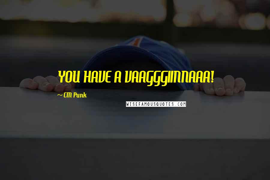 CM Punk Quotes: YOU HAVE A VAAGGGIINNAAA!