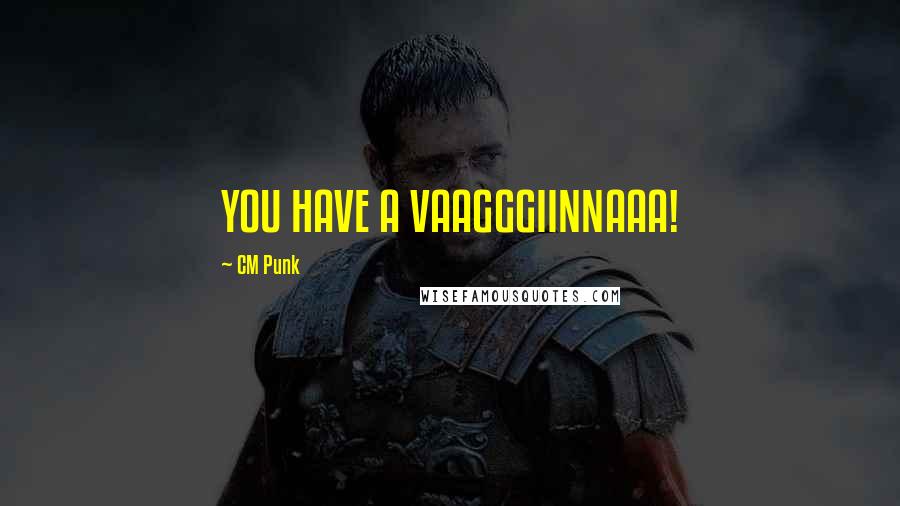 CM Punk Quotes: YOU HAVE A VAAGGGIINNAAA!