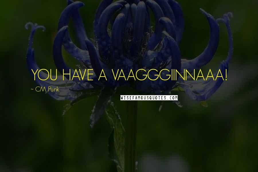 CM Punk Quotes: YOU HAVE A VAAGGGIINNAAA!