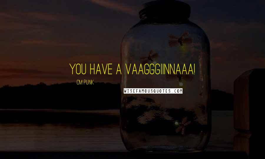 CM Punk Quotes: YOU HAVE A VAAGGGIINNAAA!