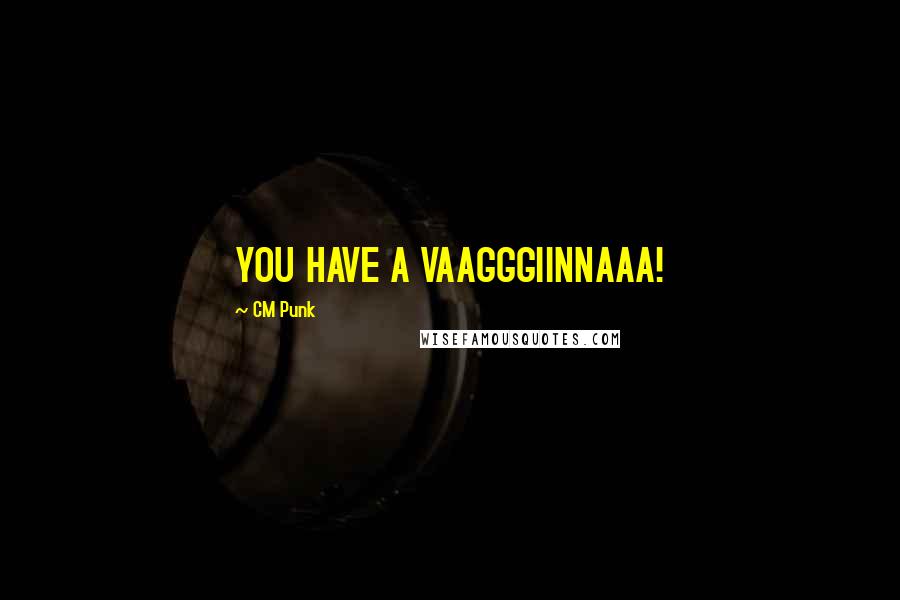 CM Punk Quotes: YOU HAVE A VAAGGGIINNAAA!