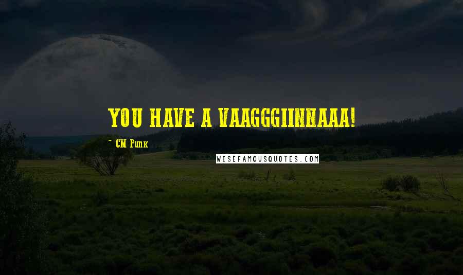 CM Punk Quotes: YOU HAVE A VAAGGGIINNAAA!