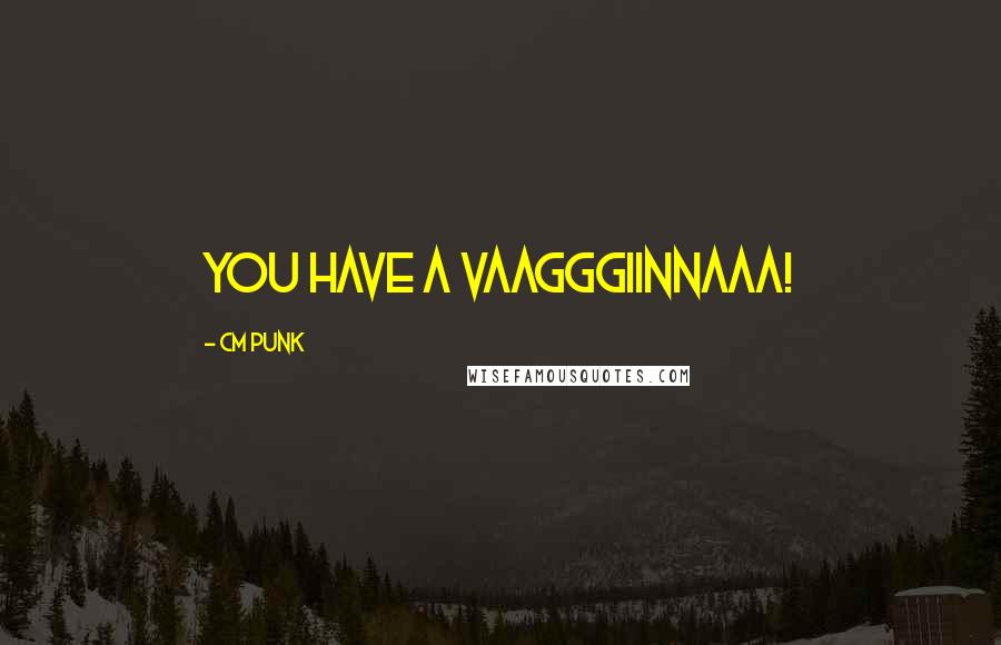 CM Punk Quotes: YOU HAVE A VAAGGGIINNAAA!