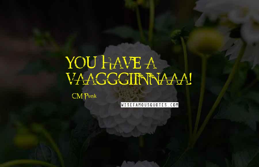 CM Punk Quotes: YOU HAVE A VAAGGGIINNAAA!