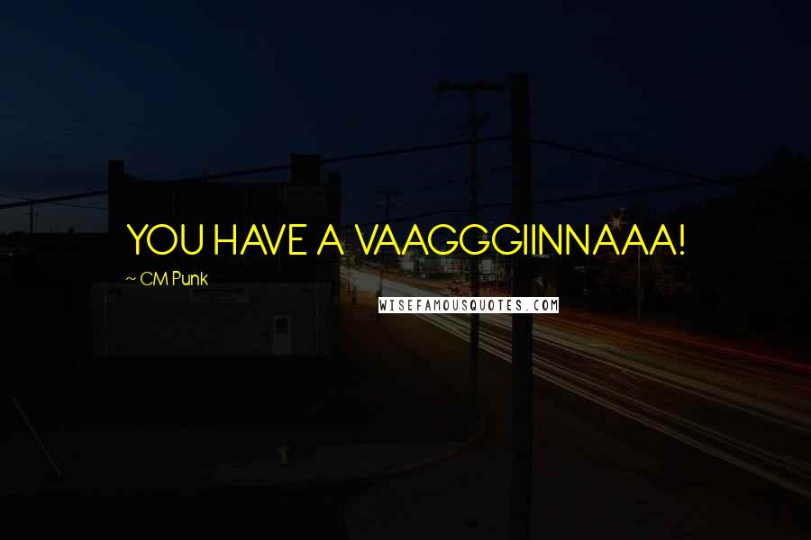 CM Punk Quotes: YOU HAVE A VAAGGGIINNAAA!