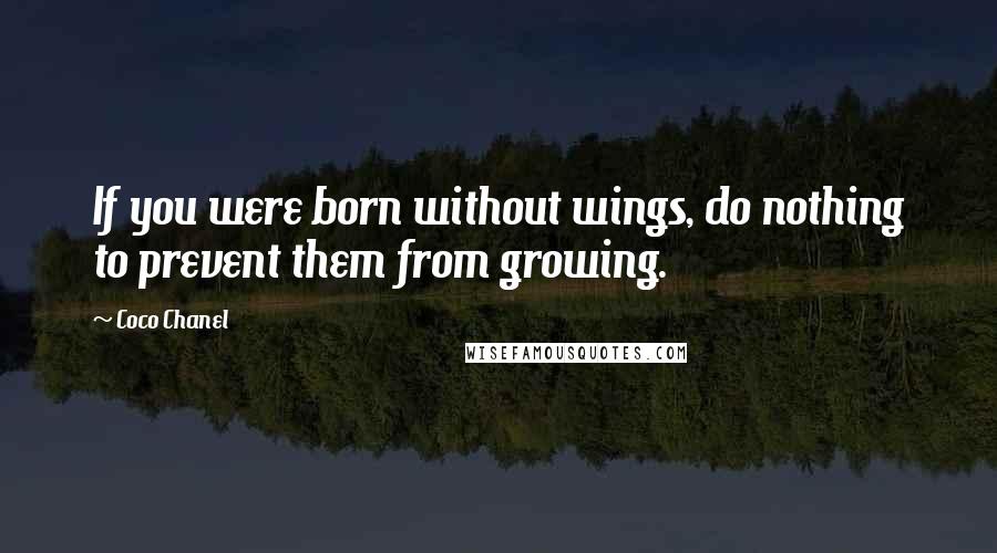 Coco Chanel Quotes: If you were born without wings, do nothing to prevent them from growing.