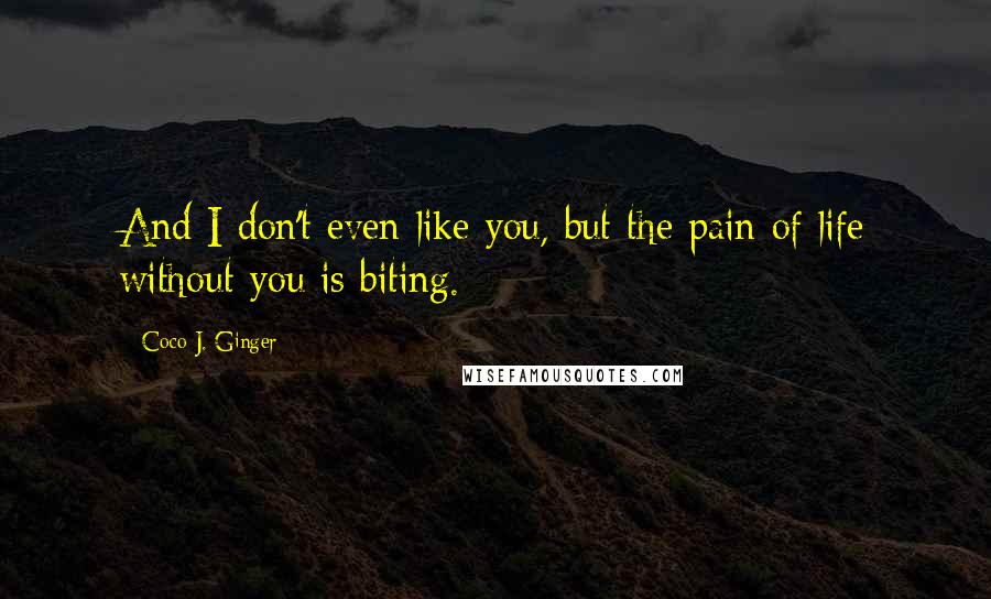Coco J. Ginger Quotes: And I don't even like you, but the pain of life without you is biting.