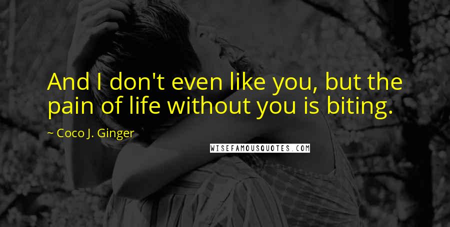 Coco J. Ginger Quotes: And I don't even like you, but the pain of life without you is biting.