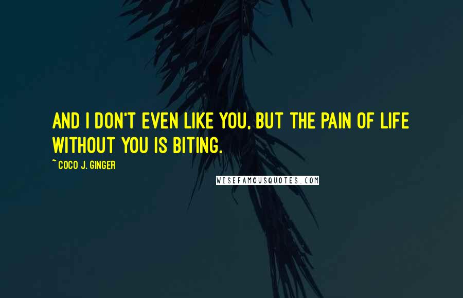 Coco J. Ginger Quotes: And I don't even like you, but the pain of life without you is biting.