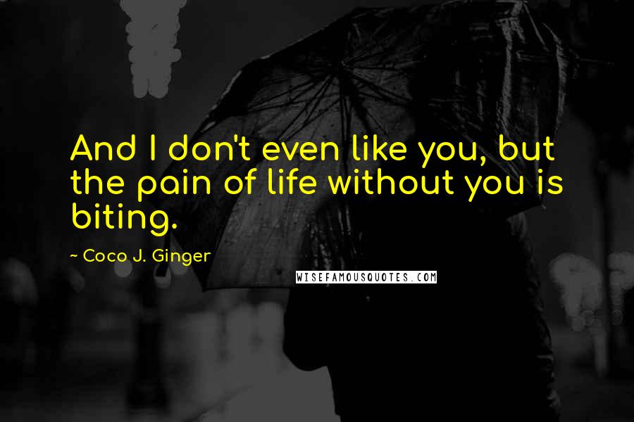 Coco J. Ginger Quotes: And I don't even like you, but the pain of life without you is biting.