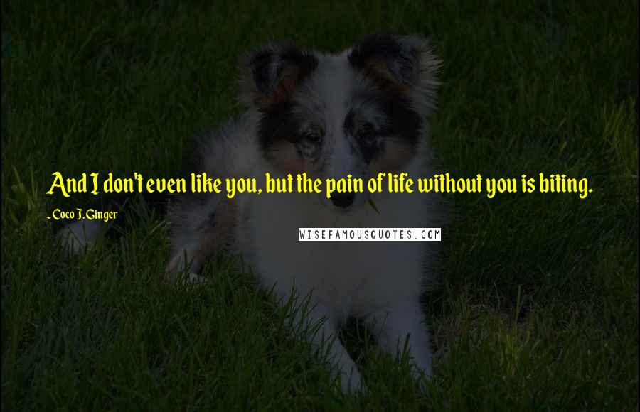 Coco J. Ginger Quotes: And I don't even like you, but the pain of life without you is biting.