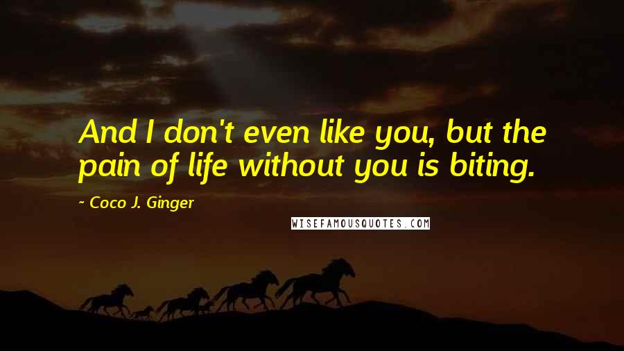 Coco J. Ginger Quotes: And I don't even like you, but the pain of life without you is biting.