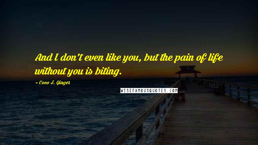 Coco J. Ginger Quotes: And I don't even like you, but the pain of life without you is biting.