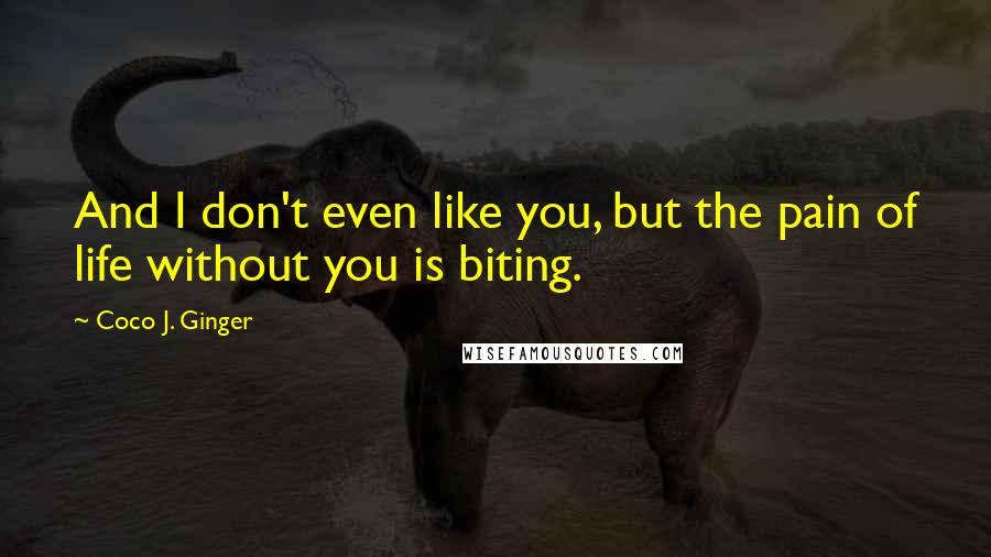 Coco J. Ginger Quotes: And I don't even like you, but the pain of life without you is biting.
