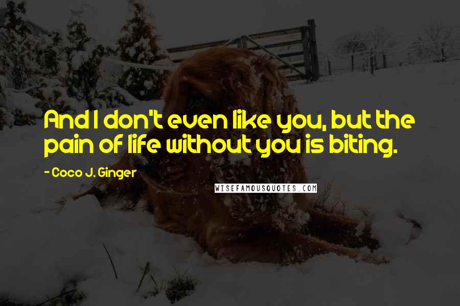 Coco J. Ginger Quotes: And I don't even like you, but the pain of life without you is biting.