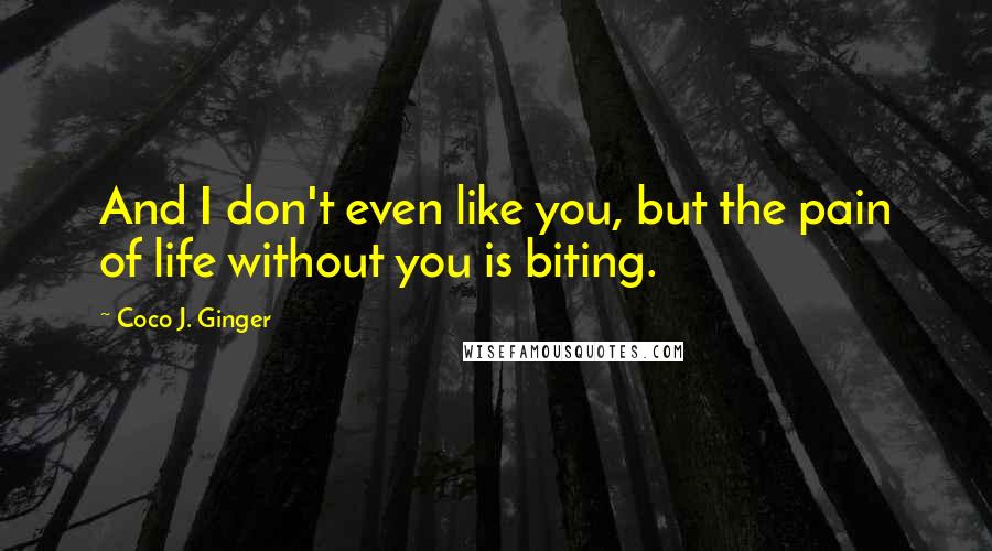 Coco J. Ginger Quotes: And I don't even like you, but the pain of life without you is biting.