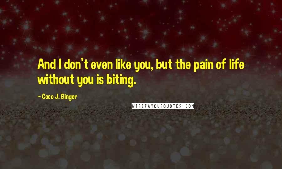 Coco J. Ginger Quotes: And I don't even like you, but the pain of life without you is biting.