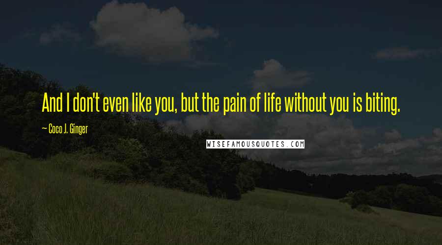 Coco J. Ginger Quotes: And I don't even like you, but the pain of life without you is biting.