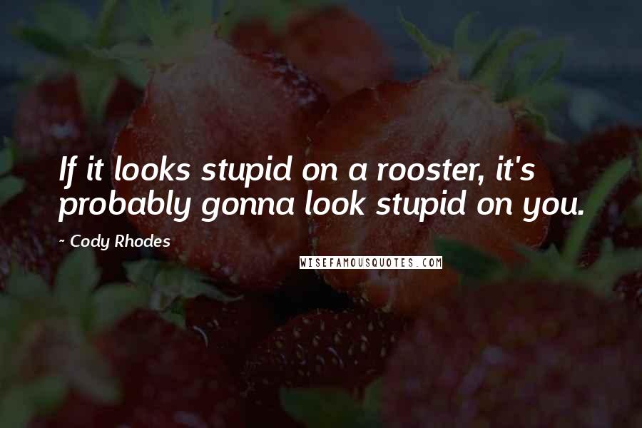 Cody Rhodes Quotes: If it looks stupid on a rooster, it's probably gonna look stupid on you.