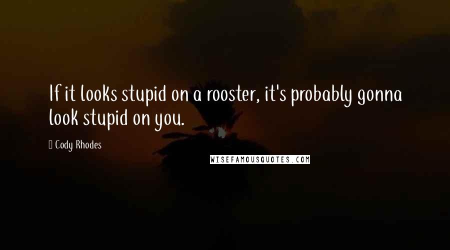 Cody Rhodes Quotes: If it looks stupid on a rooster, it's probably gonna look stupid on you.