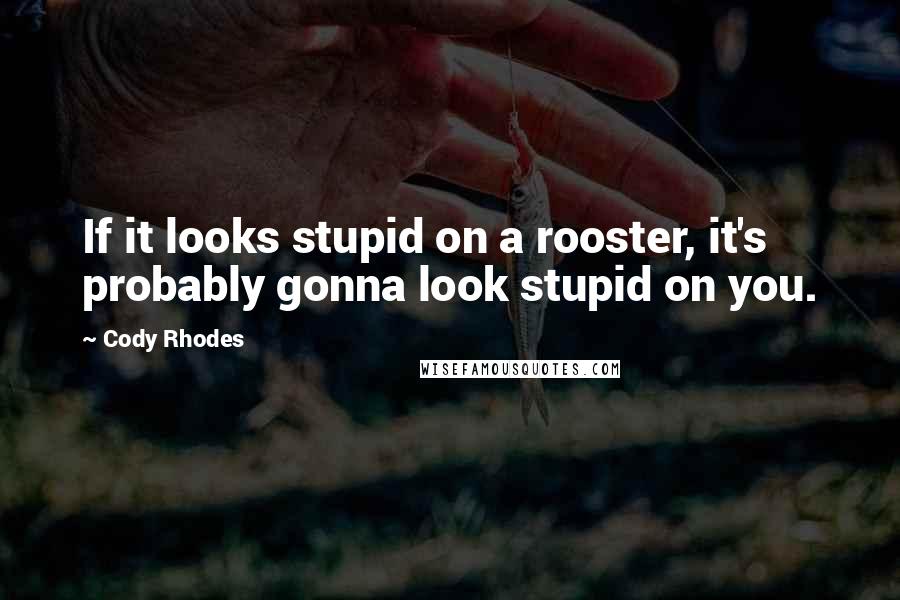 Cody Rhodes Quotes: If it looks stupid on a rooster, it's probably gonna look stupid on you.