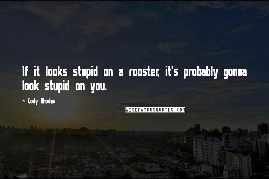 Cody Rhodes Quotes: If it looks stupid on a rooster, it's probably gonna look stupid on you.