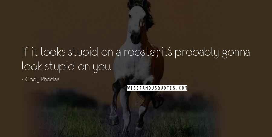Cody Rhodes Quotes: If it looks stupid on a rooster, it's probably gonna look stupid on you.