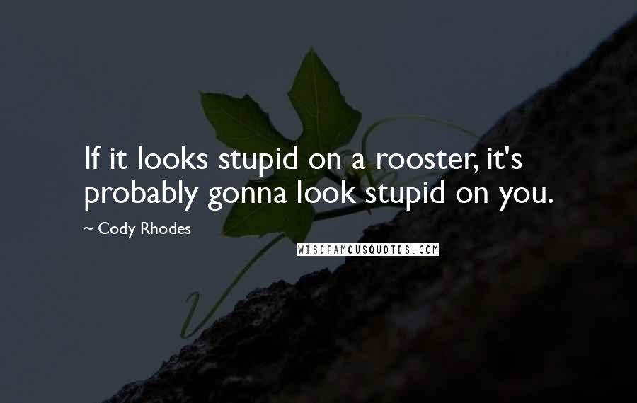 Cody Rhodes Quotes: If it looks stupid on a rooster, it's probably gonna look stupid on you.