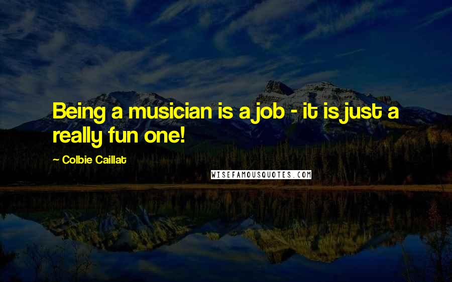 Colbie Caillat Quotes: Being a musician is a job - it is just a really fun one!