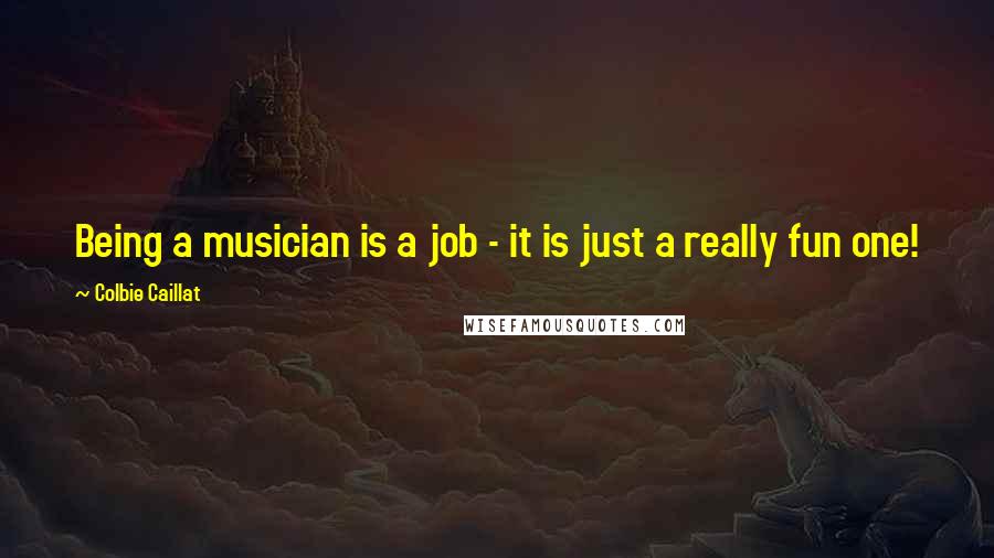 Colbie Caillat Quotes: Being a musician is a job - it is just a really fun one!