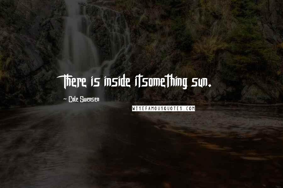 Cole Swensen Quotes: There is inside itsomething sun.