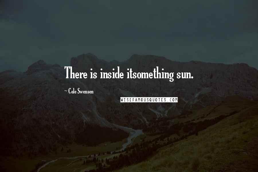 Cole Swensen Quotes: There is inside itsomething sun.