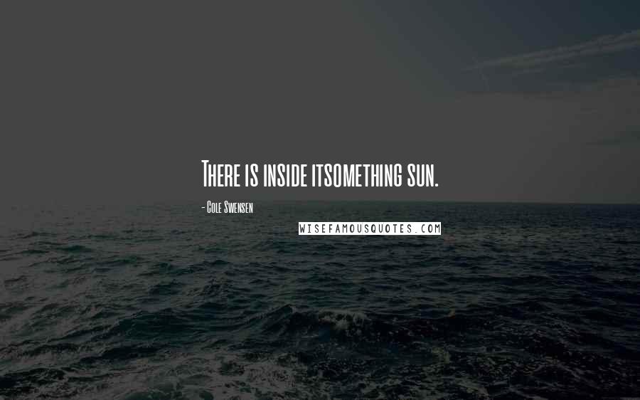 Cole Swensen Quotes: There is inside itsomething sun.