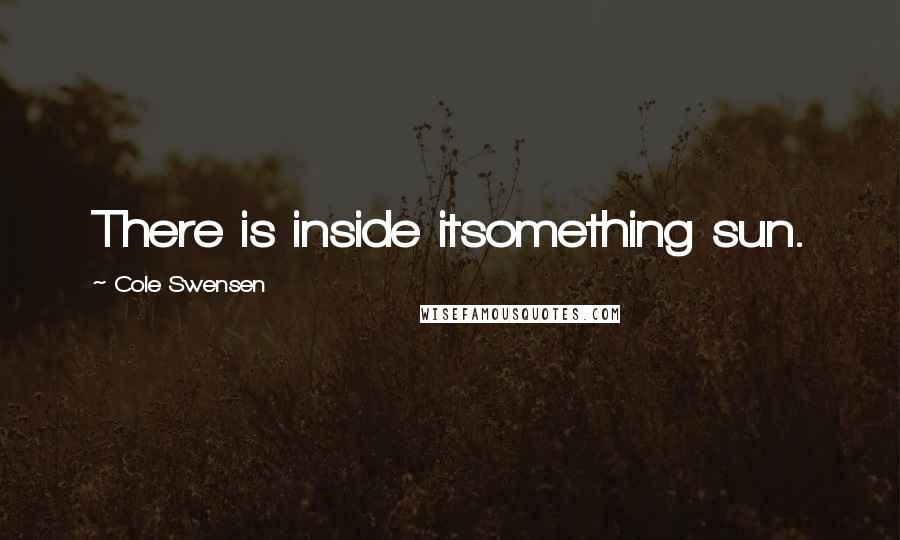 Cole Swensen Quotes: There is inside itsomething sun.