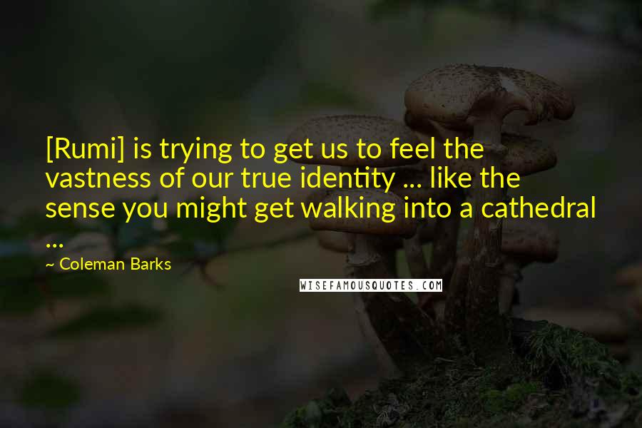 Coleman Barks Quotes: [Rumi] is trying to get us to feel the vastness of our true identity ... like the sense you might get walking into a cathedral ...