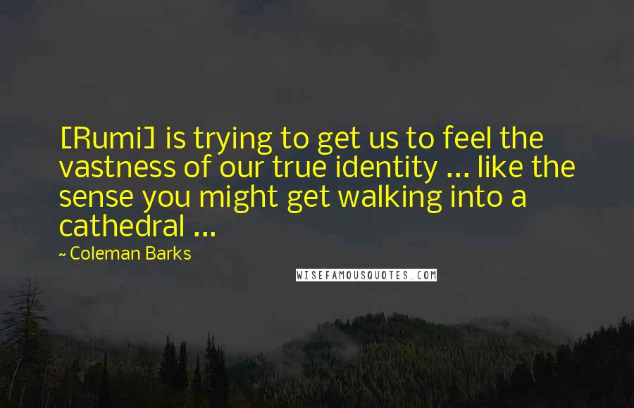Coleman Barks Quotes: [Rumi] is trying to get us to feel the vastness of our true identity ... like the sense you might get walking into a cathedral ...