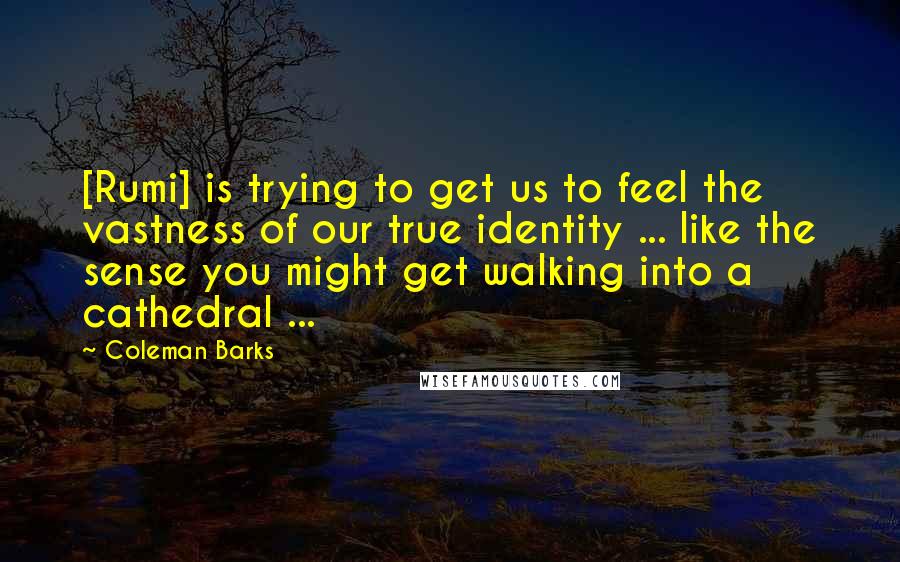 Coleman Barks Quotes: [Rumi] is trying to get us to feel the vastness of our true identity ... like the sense you might get walking into a cathedral ...