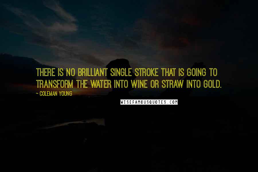 Coleman Young Quotes: There is no brilliant single stroke that is going to transform the water into wine or straw into gold.