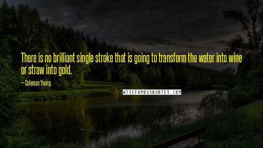 Coleman Young Quotes: There is no brilliant single stroke that is going to transform the water into wine or straw into gold.