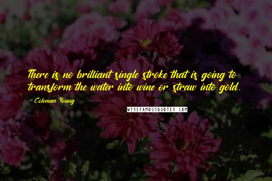 Coleman Young Quotes: There is no brilliant single stroke that is going to transform the water into wine or straw into gold.