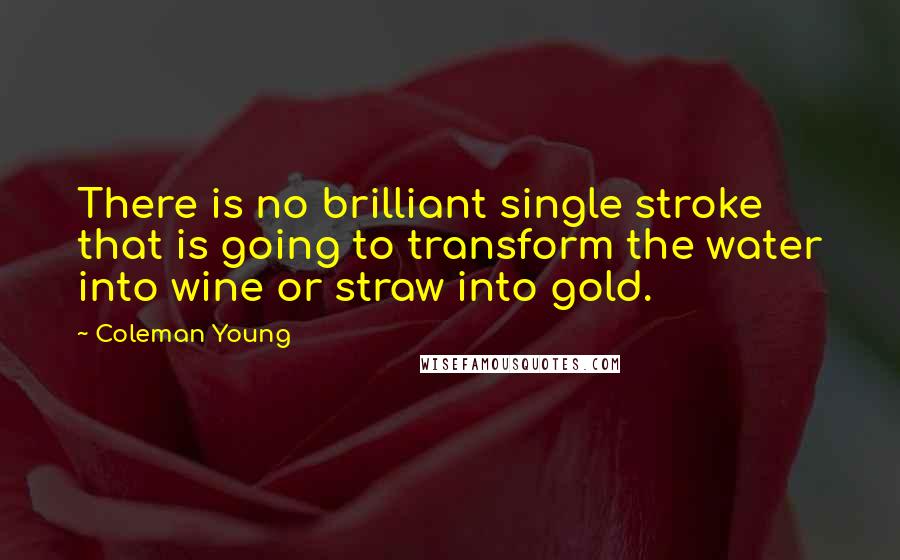 Coleman Young Quotes: There is no brilliant single stroke that is going to transform the water into wine or straw into gold.