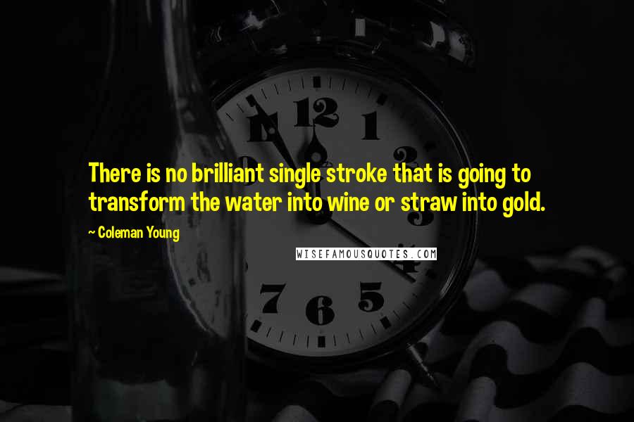 Coleman Young Quotes: There is no brilliant single stroke that is going to transform the water into wine or straw into gold.