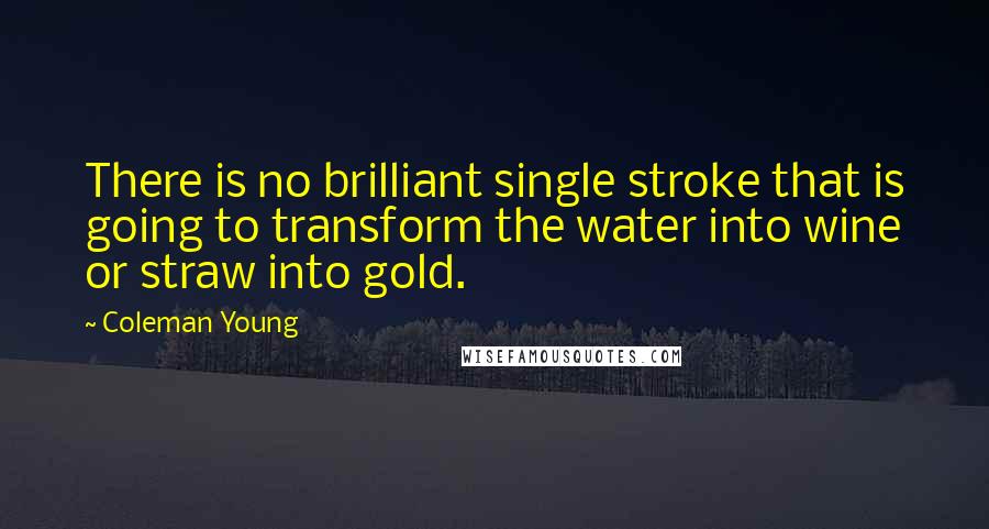 Coleman Young Quotes: There is no brilliant single stroke that is going to transform the water into wine or straw into gold.