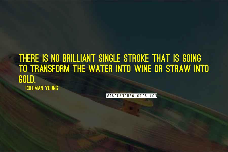 Coleman Young Quotes: There is no brilliant single stroke that is going to transform the water into wine or straw into gold.