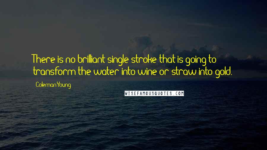 Coleman Young Quotes: There is no brilliant single stroke that is going to transform the water into wine or straw into gold.